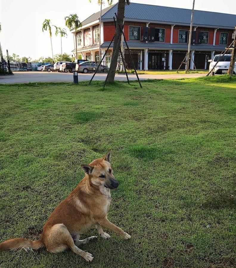 Hostel Barandbed Urt Surat Thani Exterior foto